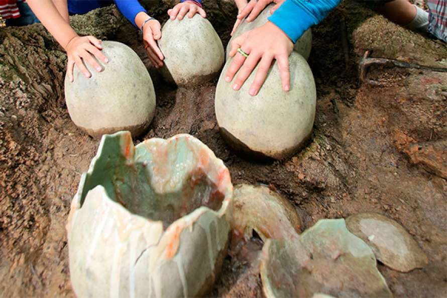 11 яиц динозавров отыскал мальчик из китайской провинции Гуандун